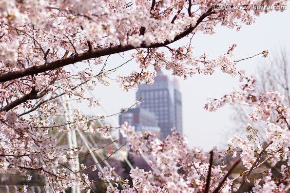 小马拉大车演员 创作出有深度的小马作品