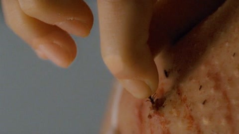 里番乐园 向上的番乐园文化娱乐活动