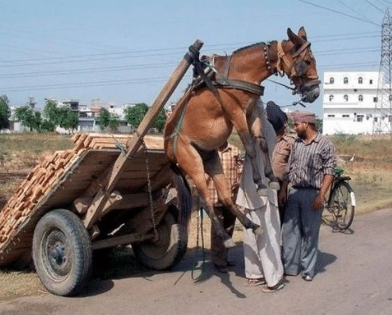 爱情电影网 前田 还是爱情探索新颖的浪漫故事
