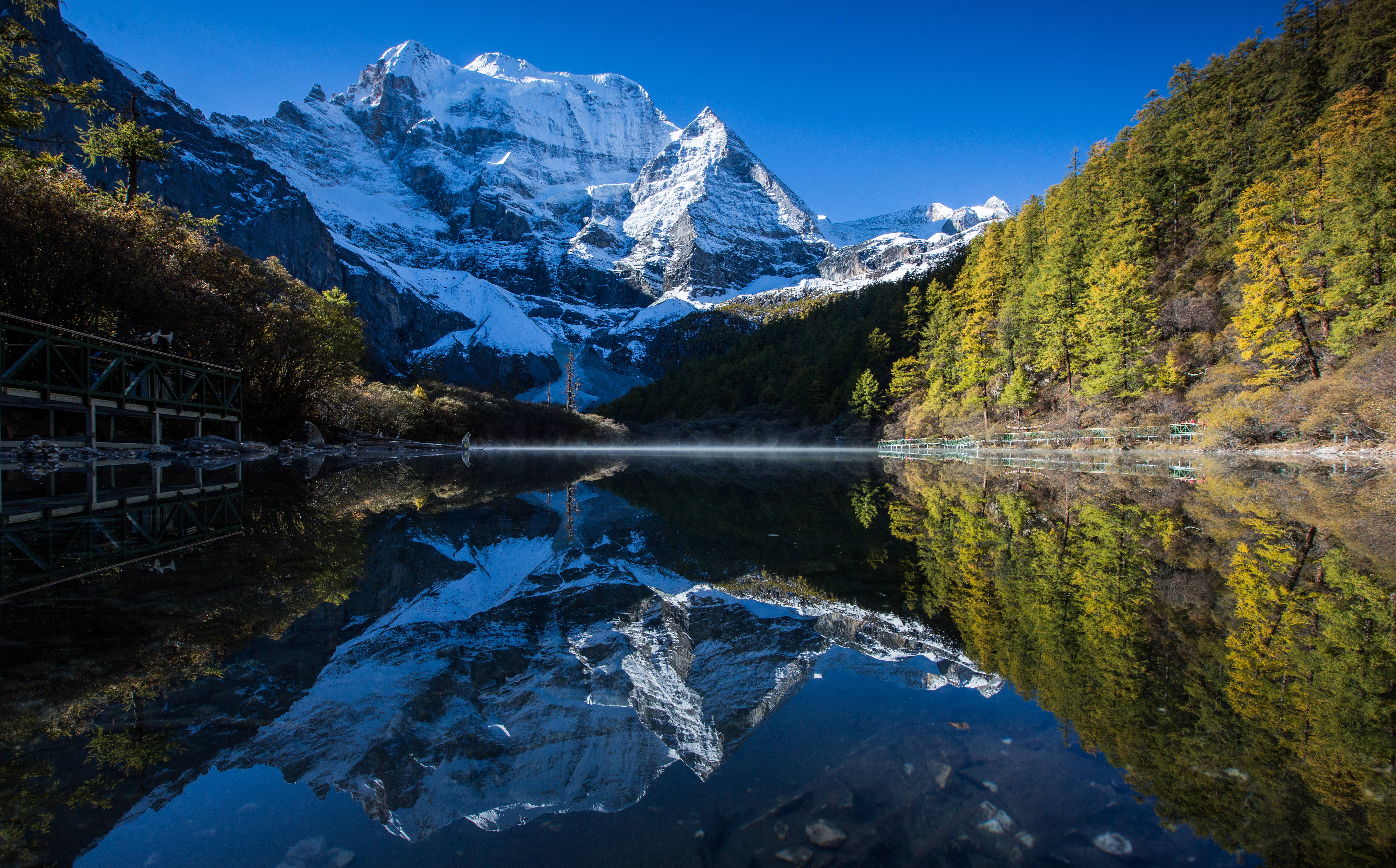 啄木鸟天使契约