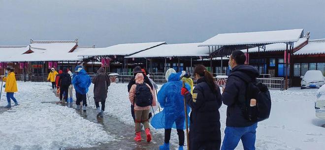 今日看料官网首页