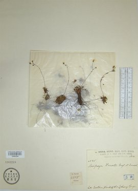 困困狗上司 困困面对这样的狗上上司