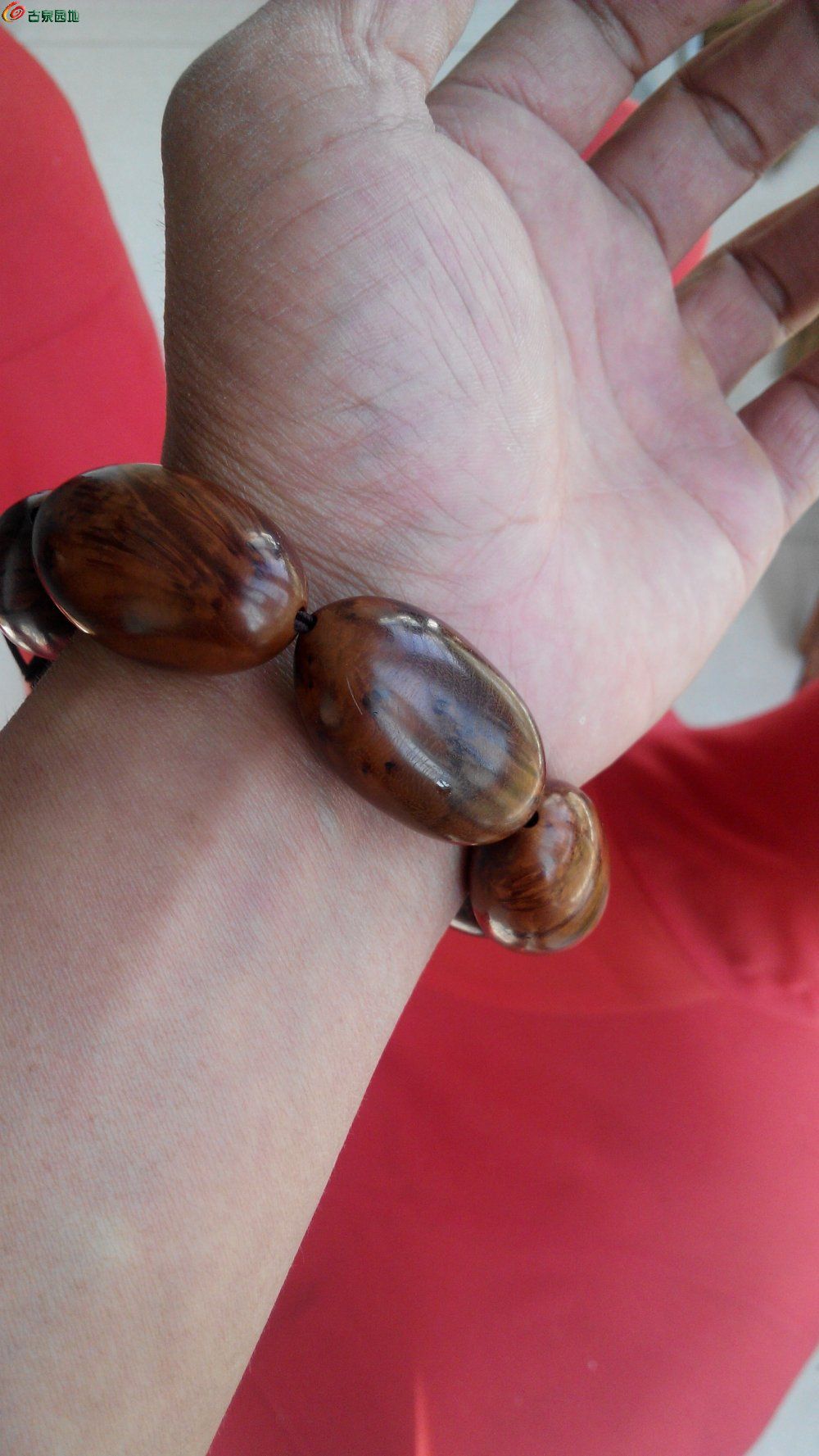 性插图动态图无遮挡