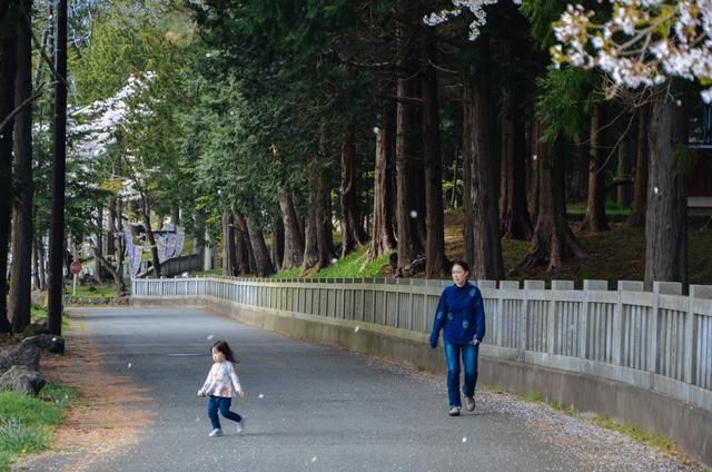 国产精品h在线播放