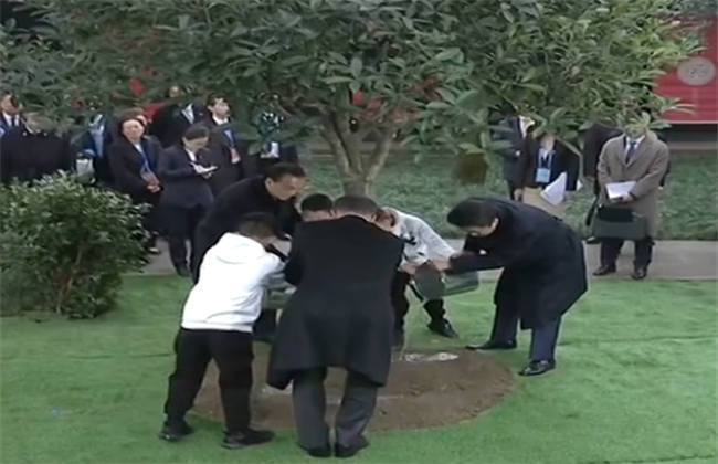 久久精品a亚洲国产v高清不卡