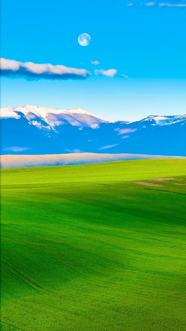 漏的电影 《爱情神话》(2021)：沪语电影