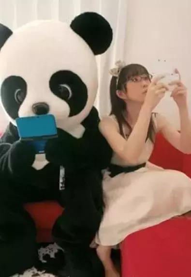 法国啄木鸟专区