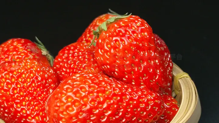 51吃瓜台北娜娜修女