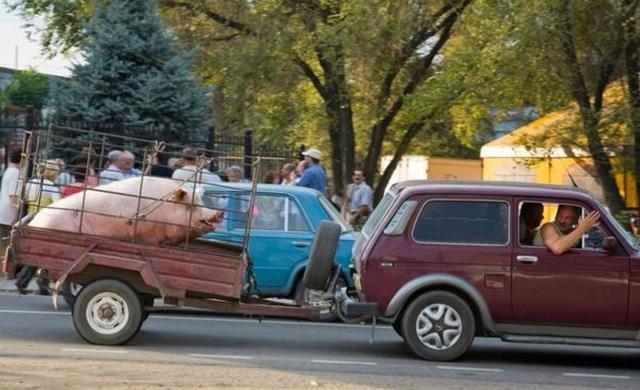 哩番动 公开播出的哩番动动画)相对