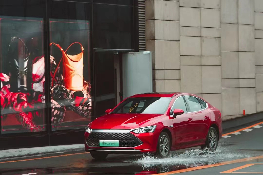 卡楚米出演的啄木鸟