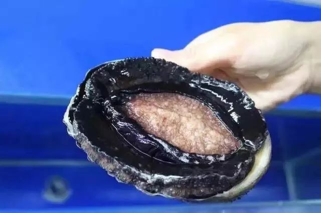 久久精品亚洲无码日韩