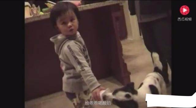 边做饭边被躁国产