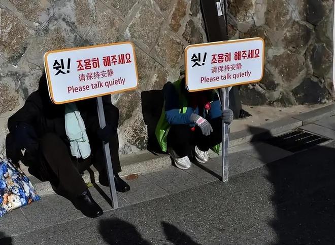 啄木鸟在线看 鸟线我非常乐意为你提供帮助