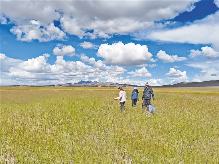 崩坏乐土3d同人 乐土是崩坏非常受欢迎的选择