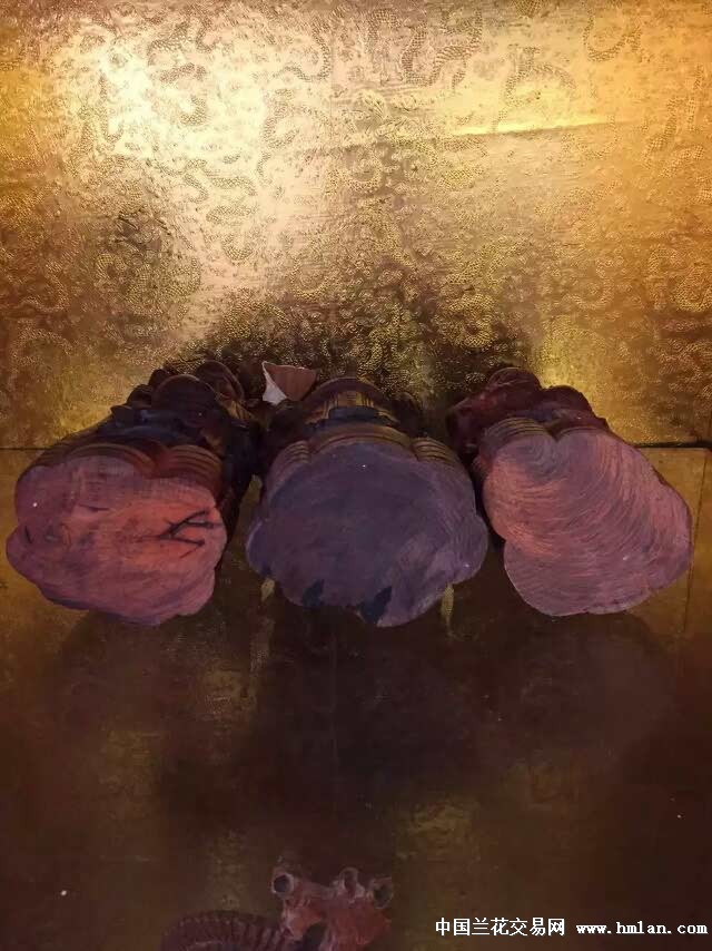 在线观看老司机 线观我很乐意为您提供帮助