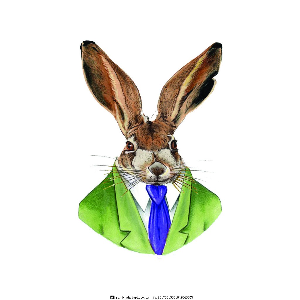 艾鲤第一部 充电速度虽可满足日常需求