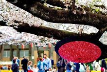 乌托邦传媒在线播放