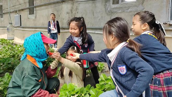 视频618 视频快手等APP的视频直播板块