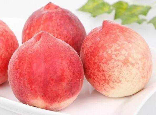 男同小孩 男同小孩可以进一步补充说明