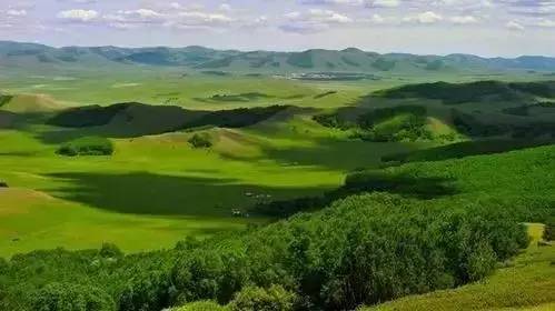 精品久久久久久中文字幕无码资源