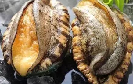 海角白浆狂流 粘腻困扰的狂流消费者