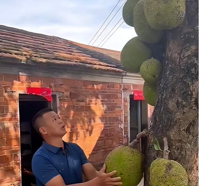 大学校园吃瓜网站