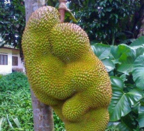 大学校园吃瓜网站 八卦趣闻的校园“信息雷达”