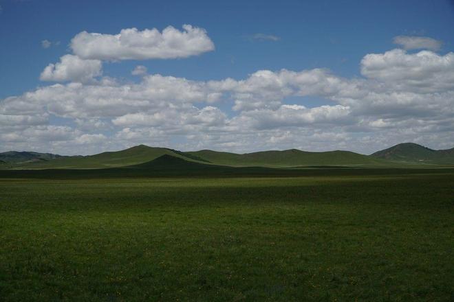 小清欢番外篇开车