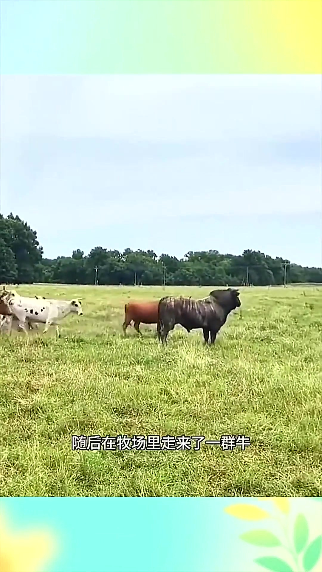 九九热线国产精品视频6 热线从早期的国产粗放式生产