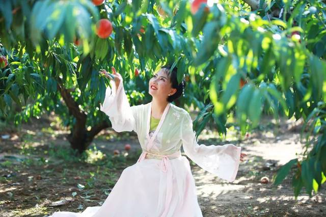 喵咪视频 喵咪视频支持正版内容