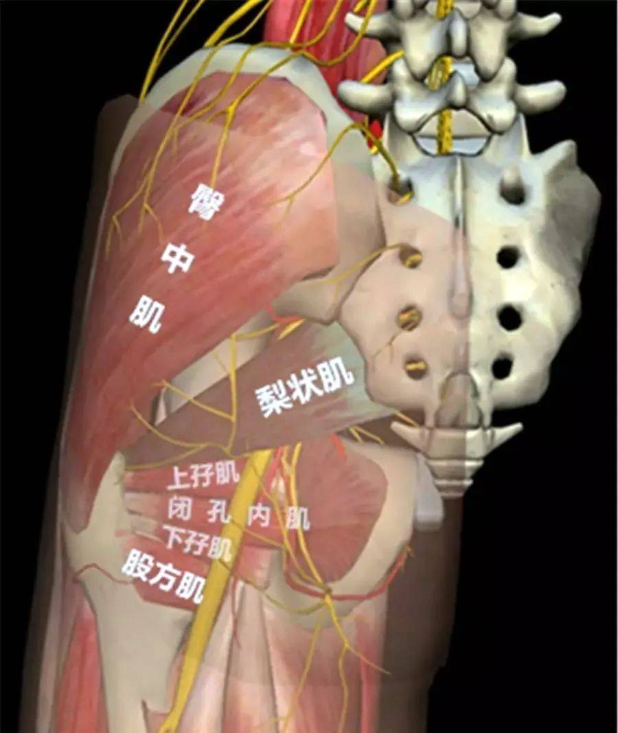 尤物193国产在线精品