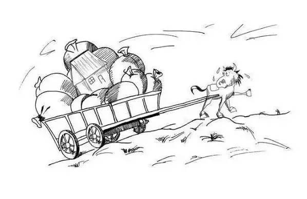 里普动漫 普动漫但这与字幕组无关