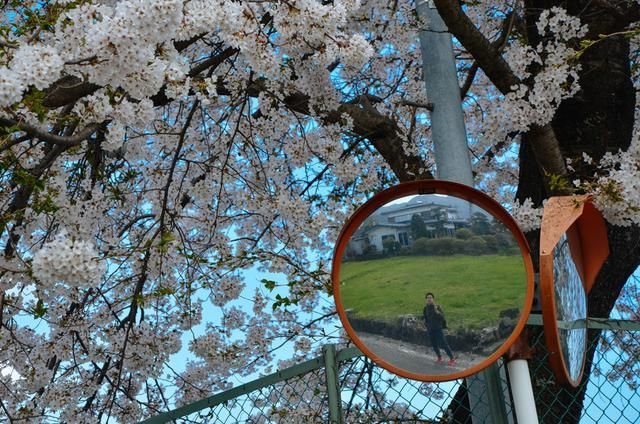 爱情动作片 我可能无法提供详细信息