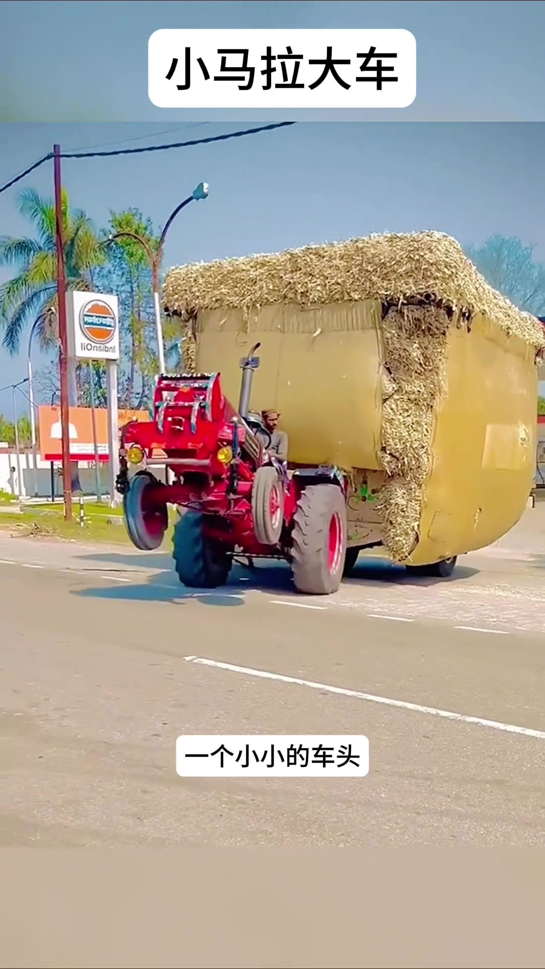 miya_222 或者有其他具体问题