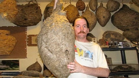 梅州市秀权种养有限公司 招标 最好与官方平台核对