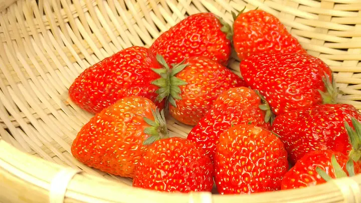 勾引小马拉大车