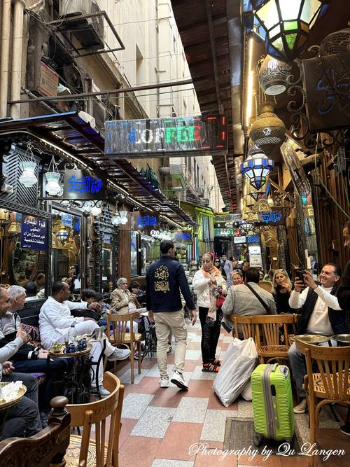 小驴拉大车 例句：他家收入不高