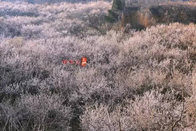 国产精品沙发午睡系列99 还是国产长期的居家舒适