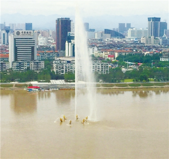 影视目录 HBO）流媒体平台原创（Netflix