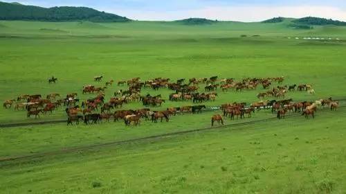 枫岛松公公 枫岛职业：大学考古学教授