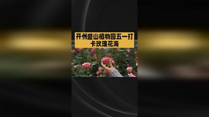抖喑暗网 抖喑暗网图文及即时通讯功能