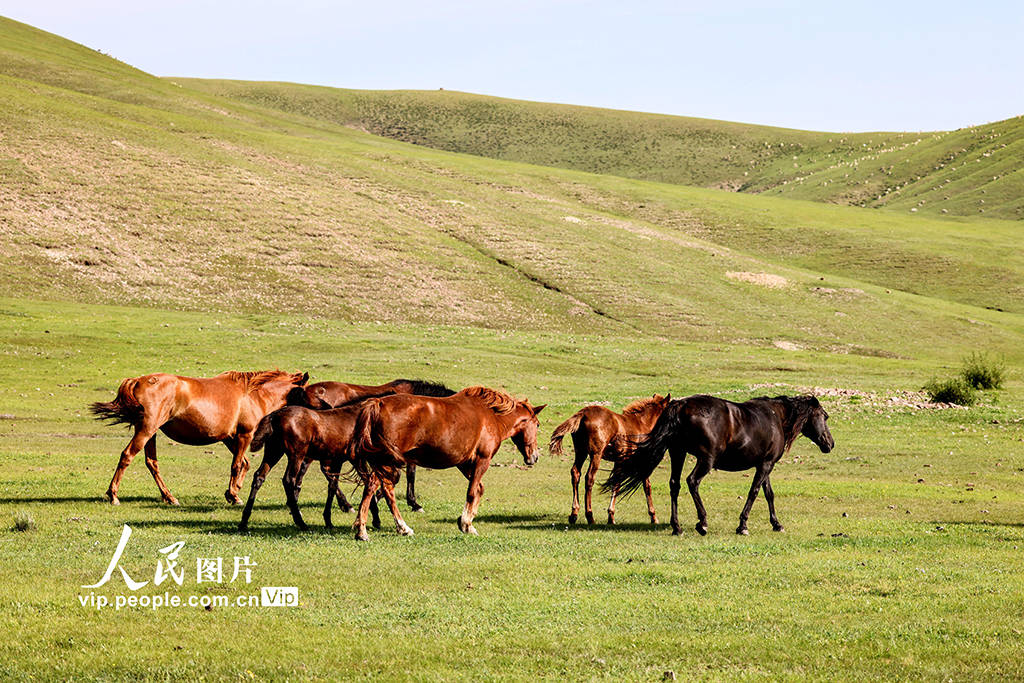 未成年 视频 有益的未成线上空间