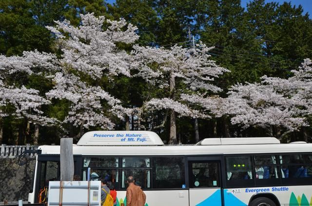 拔作岛在线观看 安全性未知的岛线第三方网站