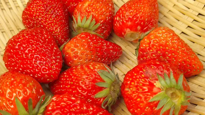 jd由香所有种子 积极的由香网络环境