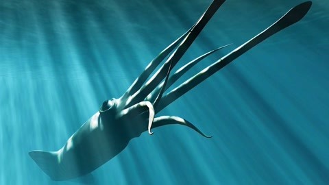 久久99精品久久久久久9鸭