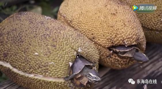 亚洲午夜精品A片久久WWW慈禧 亚洲因为网络世界信息爆炸