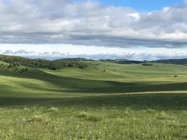 国产精品乱人无码av在线a 精品推动平台落实主体责任