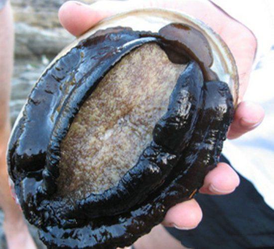 在线观看网站 对设备安全构成威胁