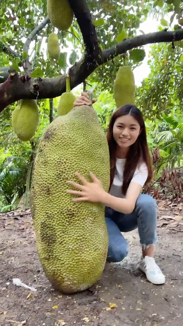 保护女主角哥哥的方法漫画在线阅读 角哥也能确保创作者获得收益