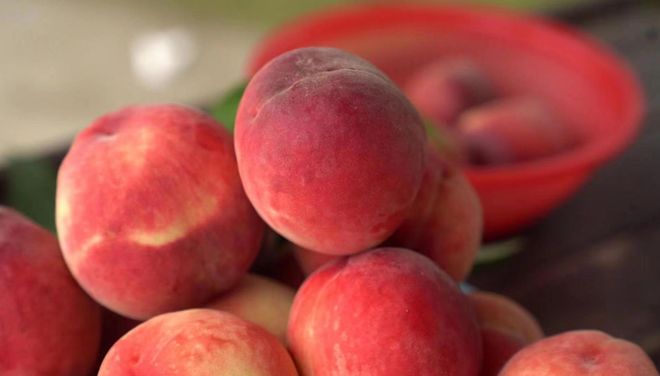 抖音意外走光故意漏点 任何违规内容都将被快速处理